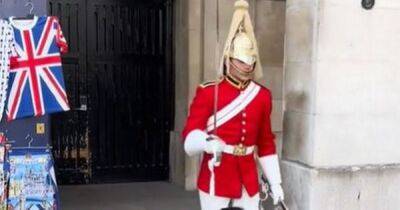 People rush to defend King's Guard after he shouts at crying girl