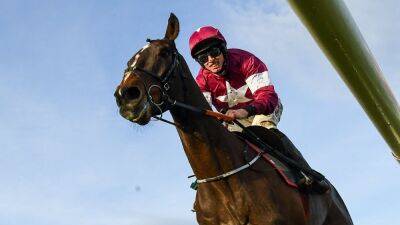 Gordon Elliott - Gordon Elliott's Abacadabras plan to become clearer after Tipperary - rte.ie