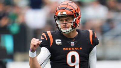 Joe Burrow - Mike Macdaniel - Miami Dolphins - Dolphins' Mike McDaniel praises Joe Burrow's swag: 'One of the true young flag bearers of our league' - foxnews.com - Washington - New York -  New York - Los Angeles - state New Jersey - county Rutherford - county Cooper