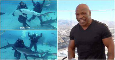 Mike Tyson and Dana White reminisce over Iron Mike wrestling sharks in 2020