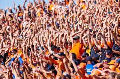 Verstappen sends 105 000 Dutch fans into a frenzy after last-gasp pole in Netherland