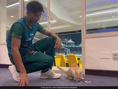 Watch: Pakistan Pacer Mohammad Hasnain Ensures "Furry Friend" Is Fed Well In Dressing Room - sports.ndtv.com - India - Dubai - Hong Kong - Pakistan -  Hong Kong