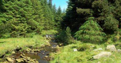 The hidden fairytale beauty spot sixty minutes away on the Snake Pass