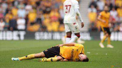 Wolves striker Kalajdzic suffers serious knee injury