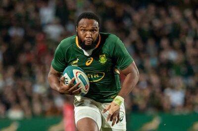 Bok star Lukhanyo Am's Test season likely over - report