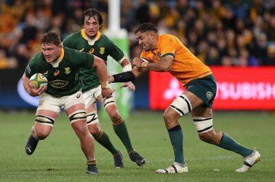 Duane Vermeulen - Jacques Nienaber - Canan Moodie - Jasper Wiese - Jasper might not be Duane yet, but he's surely the Springboks' top dog at No 8 now - news24.com - South Africa - county Green - county Ellis