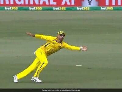 Cameron Green - Mitchell Starc - Glenn Maxwell - Aaron Finch - Martin Guptill - Watch: Glenn Maxwell Takes Terrific Diving Catch of Martin Guptill - sports.ndtv.com - Australia - Zimbabwe - New Zealand - county Martin - county Kane