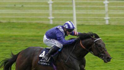 Sprint Cup hero Minzaal retired due to injury - rte.ie