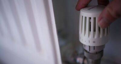 Boris Johnson - Martin Lewis - Plumber says cheap £15 B&Q device could slash 'thousands' off your heating bill - manchestereveningnews.co.uk