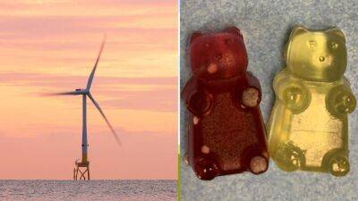 Engineers are turning old wind turbine blades into gummy bears and nappies - euronews.com - Usa - state Michigan