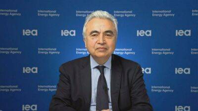 IEA director says energy crisis a 'test' for European solidarity