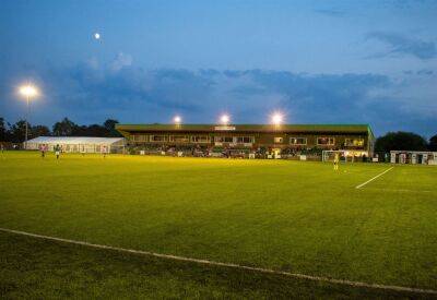 Ashford United owner Don Crosbie calls for tougher regulation of grass pitches