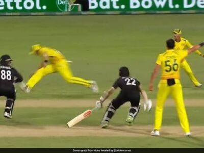 Watch: Comedy Of Errors Costs Australia Easy Run Out vs New Zealand