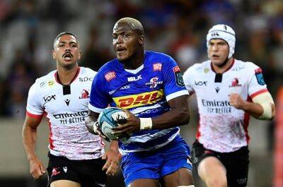 Dobson delighted after Dayimani sparkles again in Stormers' victory past Lions