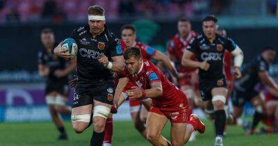 Scarlets v Dragons Live: Kick-off time, team news and score updates from Parc y Scarlets