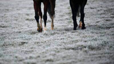 Inspection at Punchestown due to low temperatures - rte.ie - Britain -  Punchestown