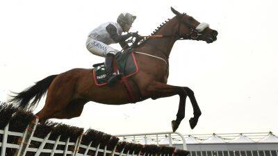 Teahupoo tackles staying trip for first time in Galmoy Hurdle at Gowran Park