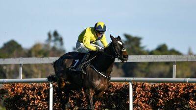 Good Land chasing Grade One glory at Leopardstown