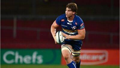 Nick Timoney - John Dobson - Evan Roos - Stormers hit with long-term Roos injury blow - news24.com - county Ulster