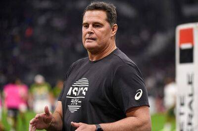 Rassie eyes 'referee coach' for Boks at World Cup - report