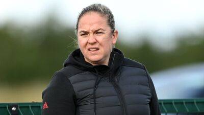 Briggs encouraged by early signs of professionalism - rte.ie - Japan - Ireland -  Dublin