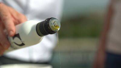 ‘Liquid gold’: Spain’s olives at the heart of Mediterranean gastronomic culture - euronews.com - Spain - Greece