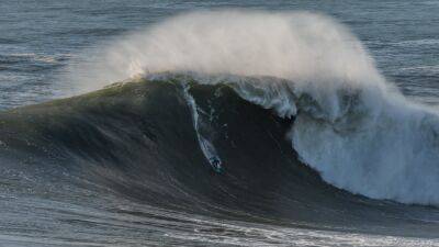 Tributes for 'Mad Dog' surfer killed by Nazare waves - rte.ie - Germany - Portugal - Brazil - state Hawaii - county Sebastian