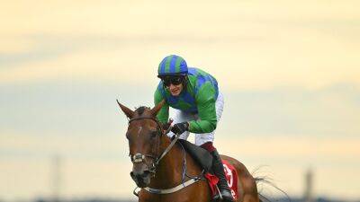 Champ Kiely gives Mullins another win in Lawlor's Hurdle