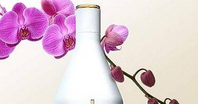 Amazon's 'expensive smelling' £15 designer perfume compared to Chanel can be worn every day and 'lasts for hours' - manchestereveningnews.co.uk