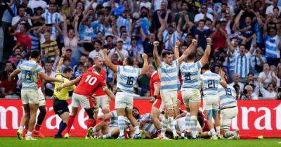 Emiliano Boffelli stars as Argentina send Wales home from World Cup
