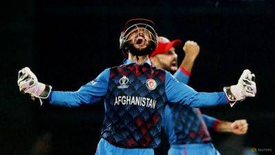 Win over England can kick-start Afghanistan cricket: Trott