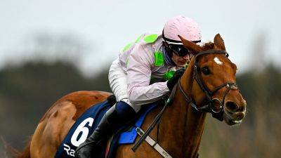 Willie Mullins - Vauban settles into Australia ahead of Melbourne Cup - rte.ie - Australia