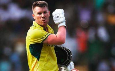 Watch: David Warner Celebrates In 'Pushpa' Style After Cricket World Cup 2023 Ton. Internet Loves It