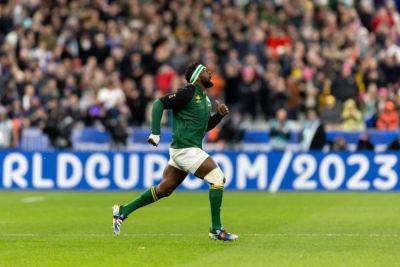 GALLERY | Tears, cheers and relief! Bok triumph over England captured all emotion