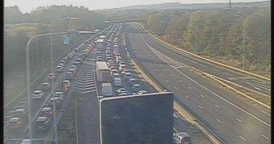LIVE: Long traffic delays after M62 shuts both ways due to 'animals in the road' - updates