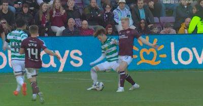 Steven Naismith sees Celtic penalty gripe ripped apart as Hearts boss pointed to the vital VAR angle