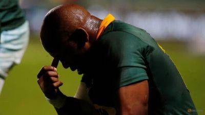 SA Rugby investigating allegations of verbal abuse in semi-final success - channelnewsasia.com - France - South Africa - New Zealand