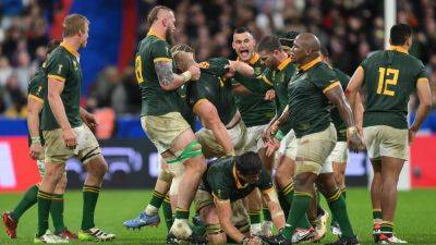 Jacques Nienaber - Springboks have faced toughest road to World Cup final - rte.ie - France - Scotland - Argentina - Australia - South Africa - Ireland - New Zealand - Fiji