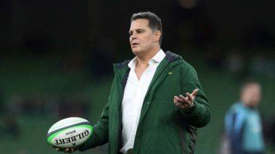 Tom Curry - Springbok hooker Mbonambi cleared to play in World Cup final - channelnewsasia.com - South Africa - New Zealand