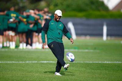 Boks' 7/1 move harnesses 'best possible 23' to counter All Blacks, says Stick