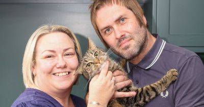 Couple told their boisterous cat named Ernie could be to blame for eye watering £11,000 gas bill - manchestereveningnews.co.uk