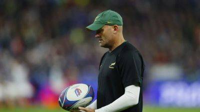 Springboks players are warriors, says coach Nienaber