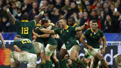 Springbok belief and physicality make for world beating mix