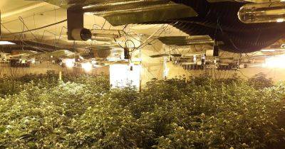 Huge cannabis farm uncovered in old warehouse with two men arrested