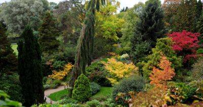 The Greater Manchester garden with ‘magnificent autumn colours’ perfect for a walk