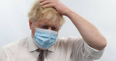 Boris Johnson suggested 'Covid was nature’s way of dealing with old people,' scientist claims