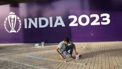 After players, Pakistan fans and media face visa delay for World Cup
