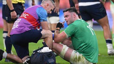 James Ryan to see specialist as Ireland issue injury updates