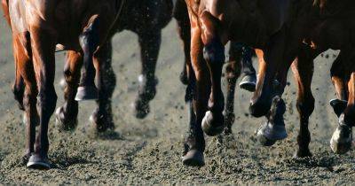 Free William Hill £2 Shop Bet inside Saturday's Record - valid on all sport! - dailyrecord.co.uk - Britain - Ireland - city Santa