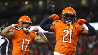 Bears squeak past Panthers in NFL basement battle - rte.ie - Usa - state Arizona